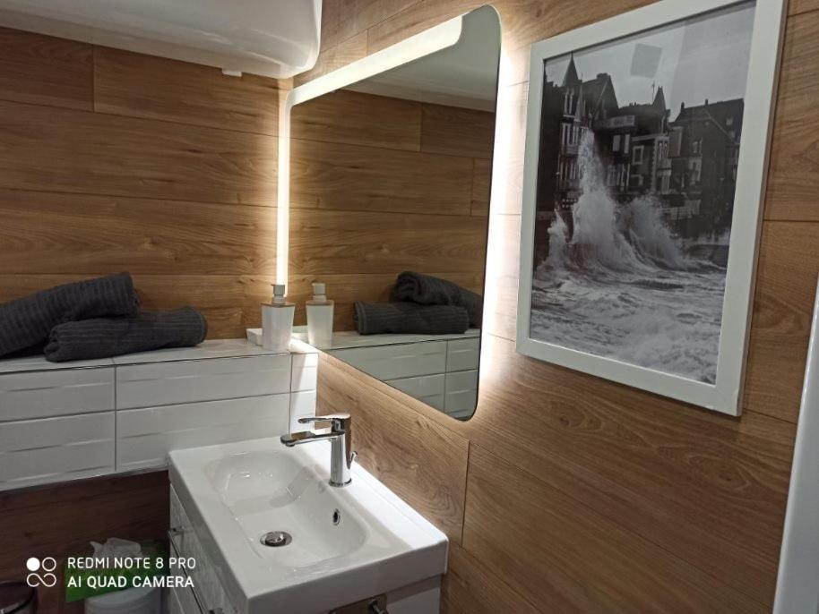Cosy Solidor T2 Avec Jardin Terrasse 100M Plage サン・マロ エクステリア 写真